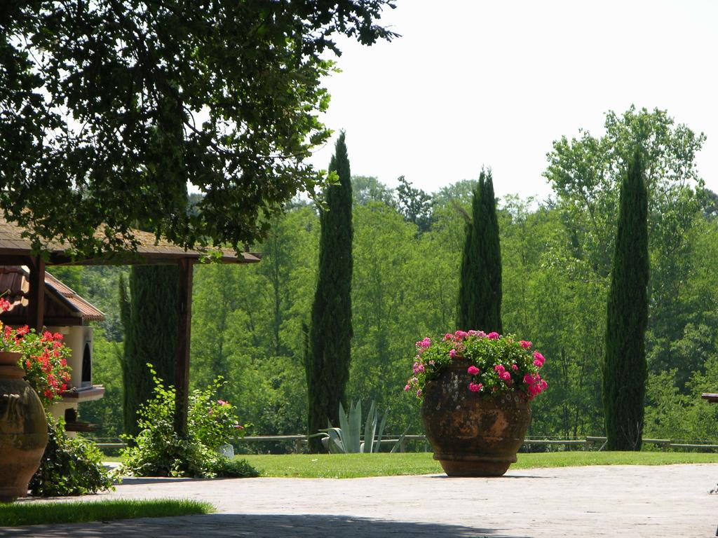 Podere Il Giurato Fauglia 外观 照片