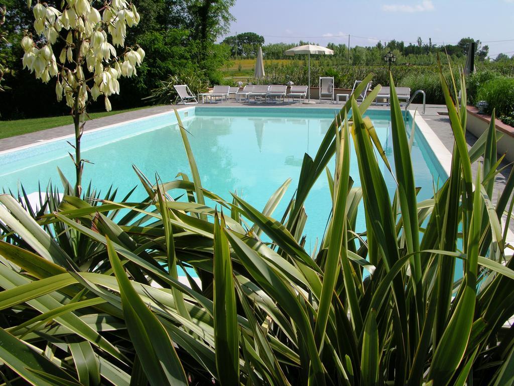 Podere Il Giurato Fauglia 外观 照片