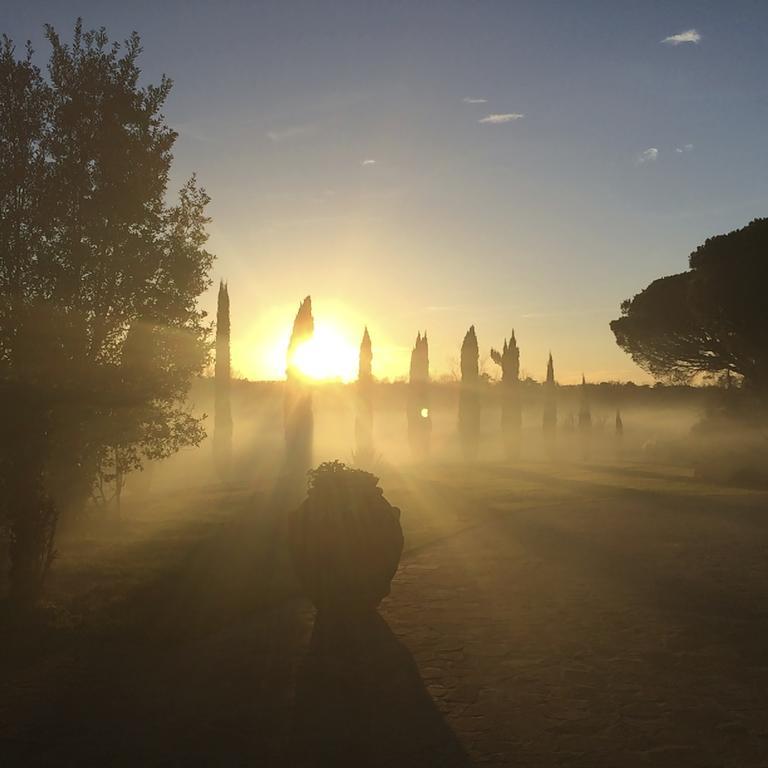 Podere Il Giurato Fauglia 外观 照片